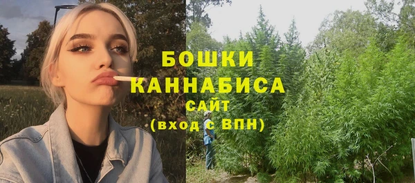 стаф Рославль
