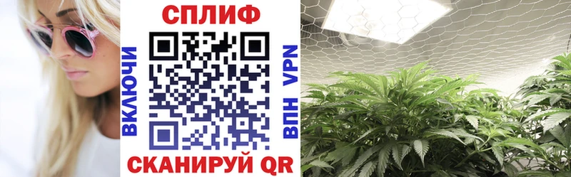 где можно купить   Зеленокумск  Конопля Amnesia 